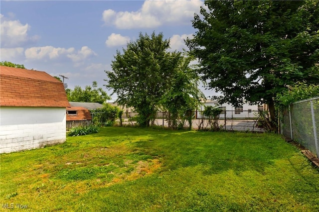 125 N Arlington Ave, Niles, OH 44446 - view of yard