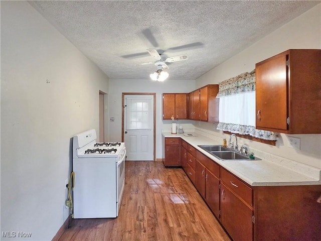 5197 Atchison Rd, Bellaire, OH 43906 - kitchen with gas range gas stove, a ceiling fan, light wood-style flooring, brown cabinetry, and light countertops