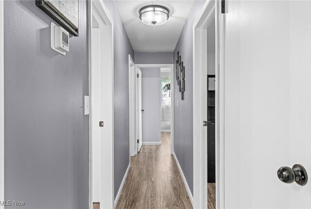 321 Stuart St NW, Lehigh Twp, OH 44646 - hallway featuring dark wood-type flooring and baseboards