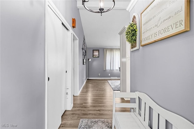 321 Stuart St NW, Lehigh Twp, OH 44646 - hallway featuring ornamental molding, wood finished floors, and a chandelier