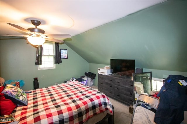 4896 High Hill Rd, Cambridge, OH 43725 - bedroom featuring carpet floors and lofted ceiling