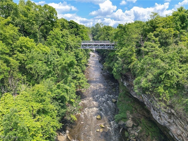 1846 Front St Unit 402, Cuyahoga Falls, OH 44221 - water view featuring a heavily wooded area