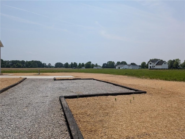 41861 State Route 303, Lagrange, OH 44050 - view of yard