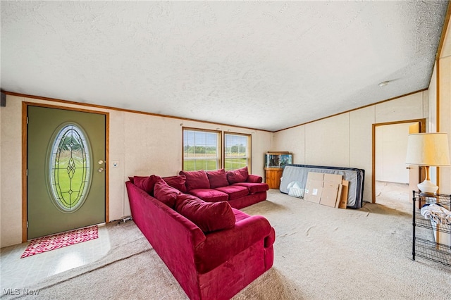 6835 Sidley Rd, Thompson, OH 44086 - carpeted living area featuring lofted ceiling, a textured ceiling, plenty of natural light, and ornamental molding
