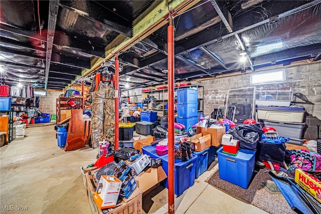 6835 Sidley Rd, Thompson, OH 44086 - view of basement