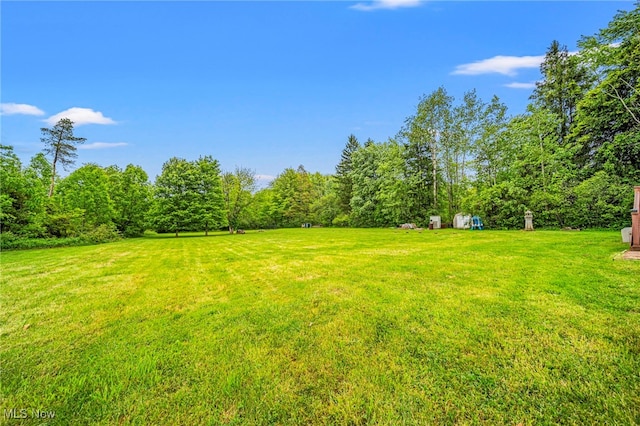 6835 Sidley Rd, Thompson, OH 44086 - view of green lawn