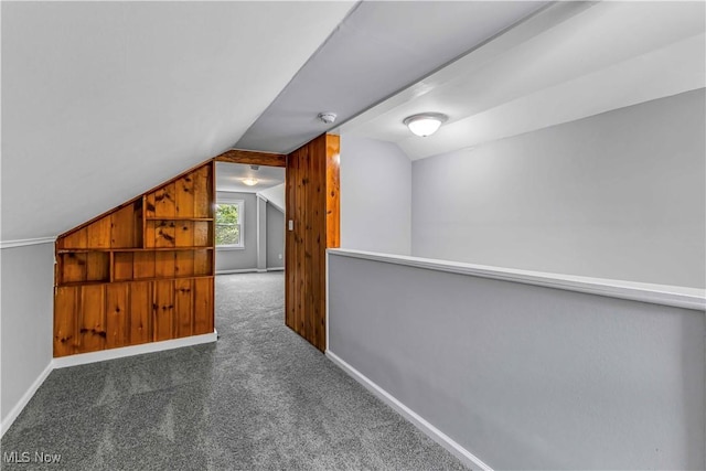1530 Franklin Ave, Kent, OH 44240 - additional living space featuring lofted ceiling and carpet flooring