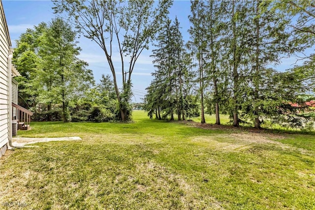 1530 Franklin Ave, Kent, OH 44240 - view of grassy yard