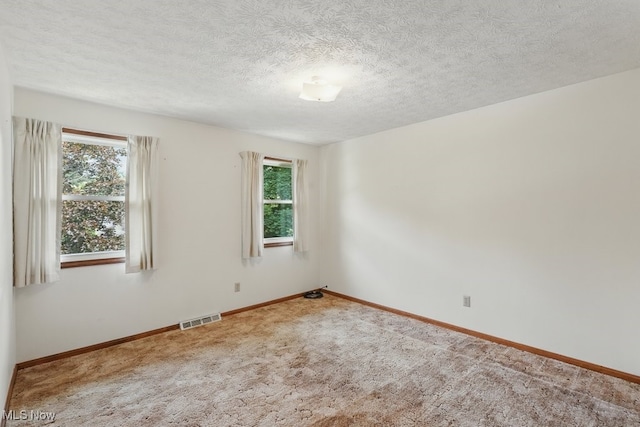 450 S Walnut St, Ravenna, OH 44266 - carpeted empty room featuring healthy amount of natural light and a textured ceiling