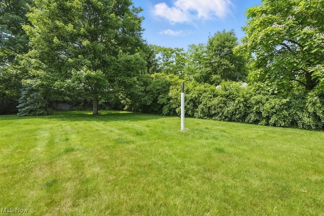 450 S Walnut St, Ravenna, OH 44266 - view of green lawn