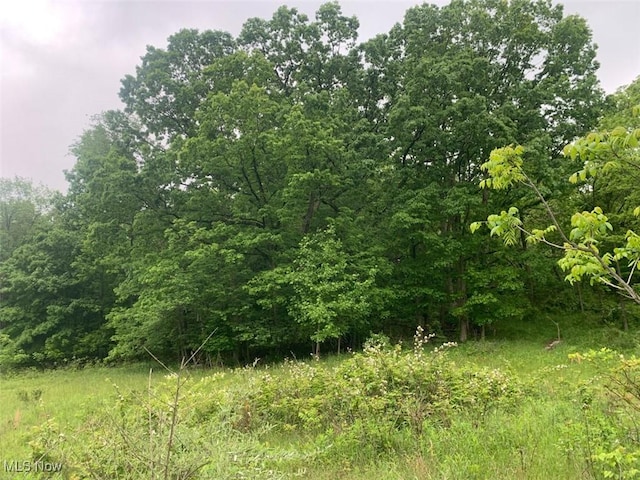 17732 State Route 45, Wellsville, OH 43968