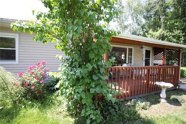 41895 Edison Ct, Elyria, OH 44035 - photo 4