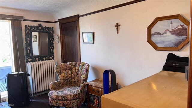 593 Dewey Ave, Cadiz, OH 43907 - photo 23
