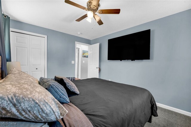 233 E 305th St, Willowick, OH 44095 - carpeted bedroom with a closet and ceiling fan