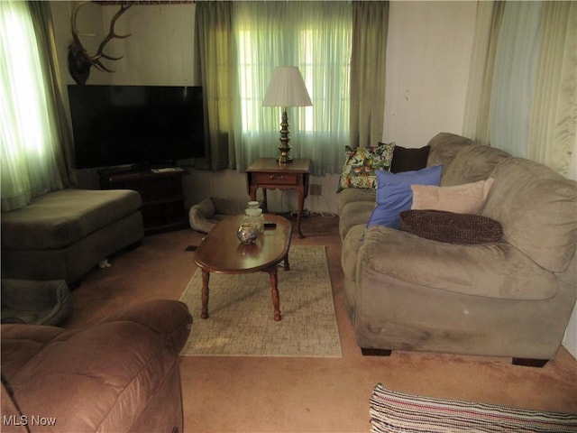 4455 Buck Run, Linesville, PA 16424 - view of carpeted living room