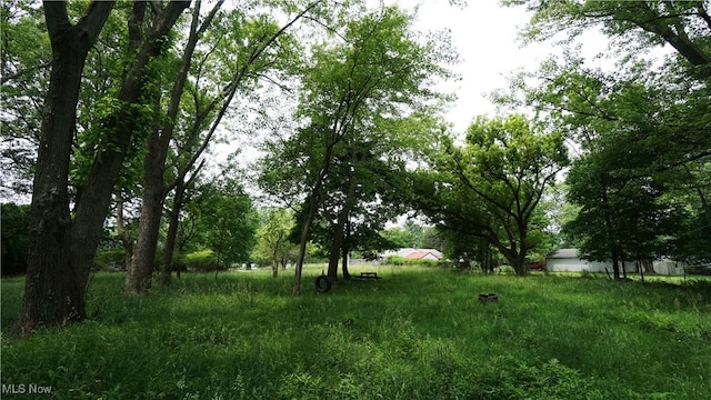 523 S Munroe Rd, Tallmadge, OH 44278 - photo 9