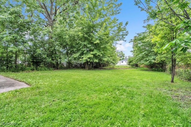 4465 W 156th St, Cleveland, OH 44135 - view of yard