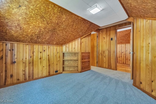 4465 W 156th St, Cleveland, OH 44135 - bonus room with carpet flooring and wooden walls