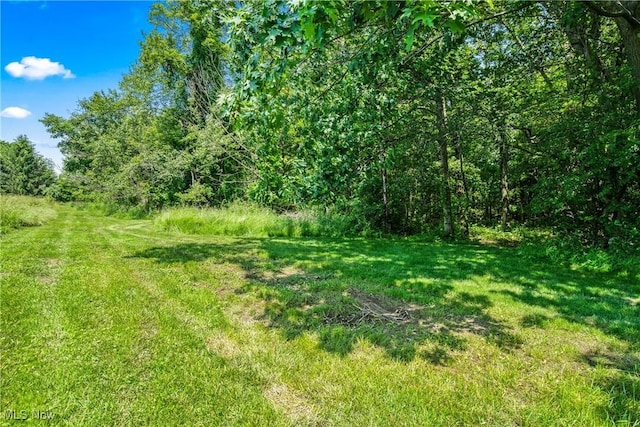 15961 Terramont St NE, Minerva, OH 44657 - view of local wilderness