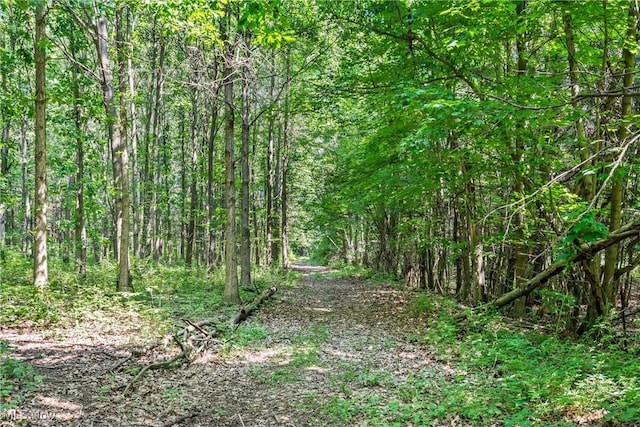 15961 Terramont St NE, Minerva, OH 44657 - view of woods
