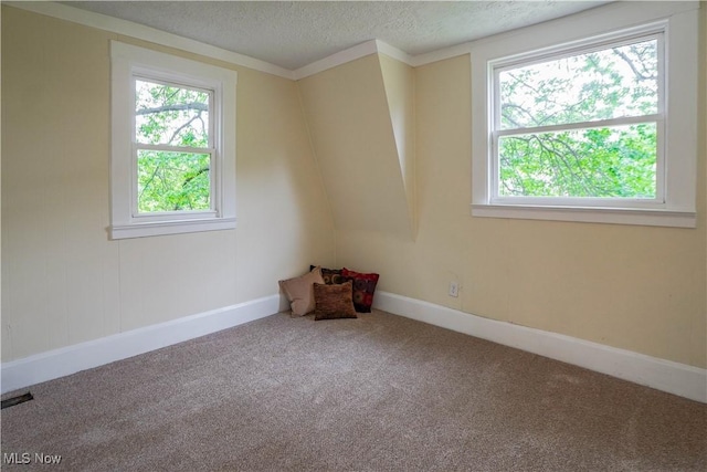 1967 Tonawanda Ave, Akron, OH 44305 - empty room with carpet and a textured ceiling