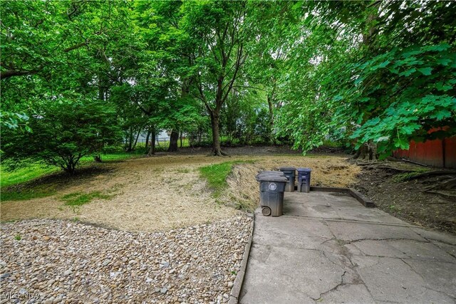 1967 Tonawanda Ave, Akron, OH 44305 - view of yard