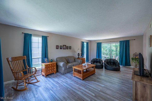 106 Wedgewood Dr, Parkersburg, WV 26104 - living room featuring a textured ceiling and wood finished floors