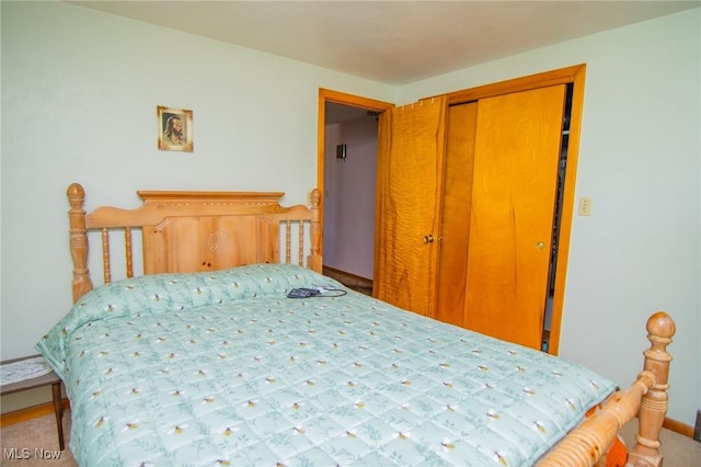 104 W Blvd, Mingo Junction, OH 43938 - bedroom with a closet and carpet