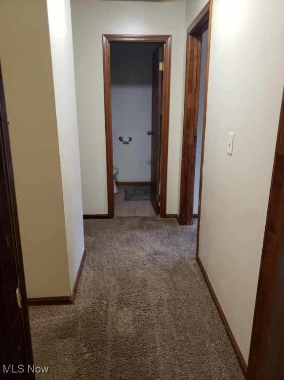 812 W W, Elyria, OH 44035 - hall with carpet flooring and baseboards