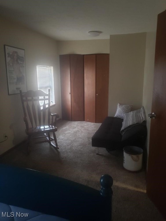 812 W W, Elyria, OH 44035 - view of carpeted bedroom