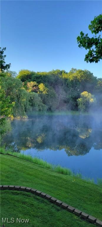 1288 Windward Ln, Kent, OH 44240 - water view