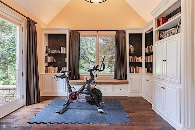 7488 Valley View Rd, Hudson, OH 44236 - workout area featuring lofted ceiling and dark wood-type flooring