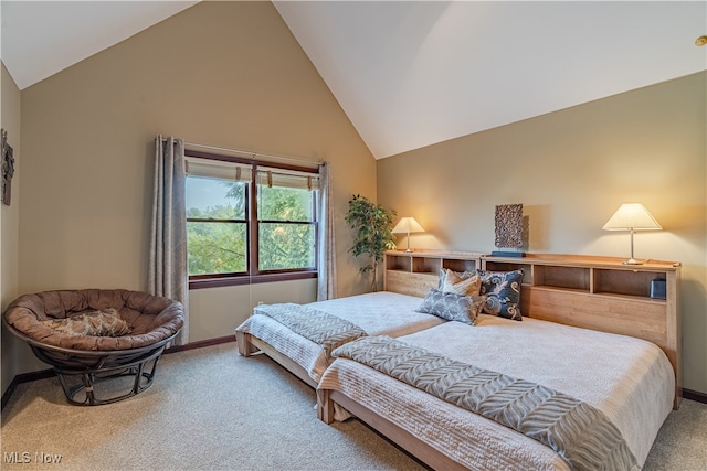 7488 Valley View Rd, Hudson, OH 44236 - bedroom featuring carpet floors and high vaulted ceiling