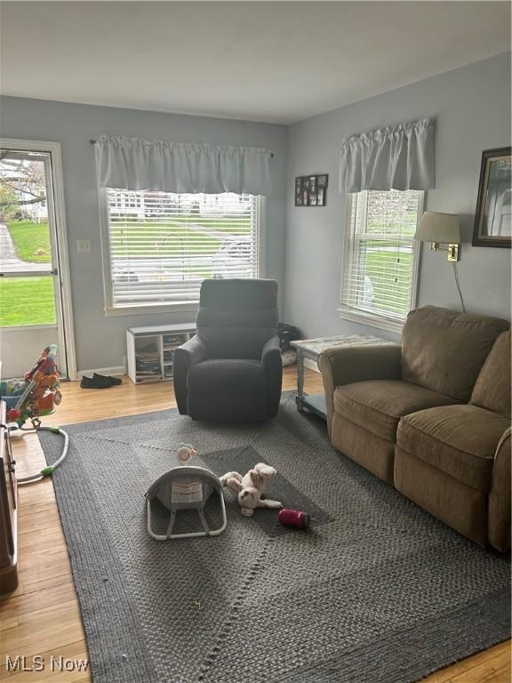 7438 Westview Dr, Youngstown, OH 44512 - living area featuring plenty of natural light and light wood finished floors