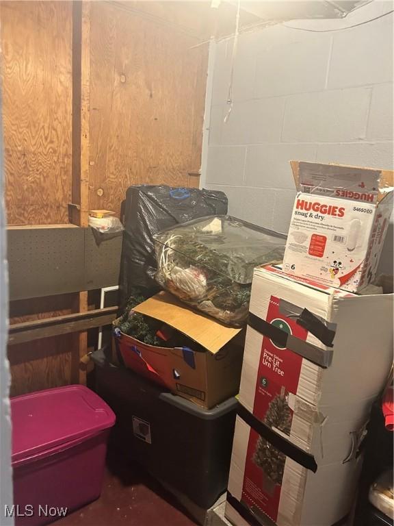 7438 Westview Dr, Youngstown, OH 44512 - view of storage area