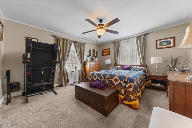 958 Cornell Dr, Alliance, OH 44601 - photo 23