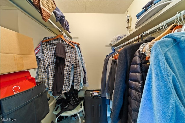 2112 Acacia Park Dr Unit 524, Lyndhurst, OH 44124 - view of walk in closet