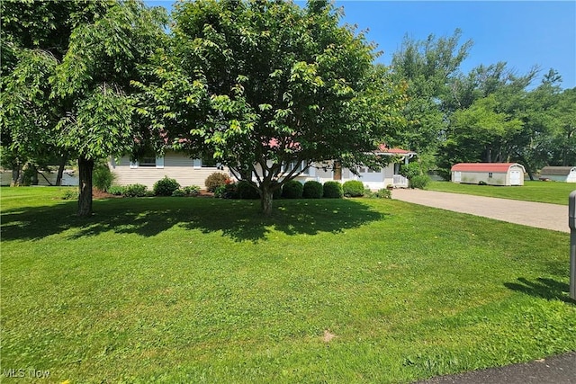 7261 Austin Dr, Mcconnelsville, OH 43756 - view of property hidden behind natural elements featuring concrete driveway, a front yard, and a storage unit