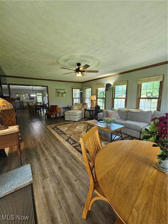 7261 Austin Dr, Mcconnelsville, OH 43756 - dining area featuring wood finished floors, a textured ceiling, crown molding, and ceiling fan