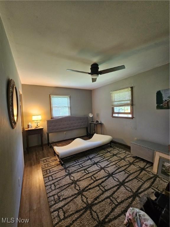 7261 Austin Dr, Mcconnelsville, OH 43756 - bedroom featuring multiple windows, wood finished floors, and a ceiling fan