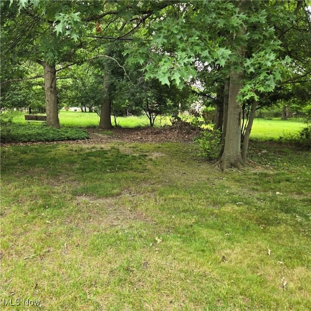 331 E 264th St, Euclid, OH 44132 - view of green lawn