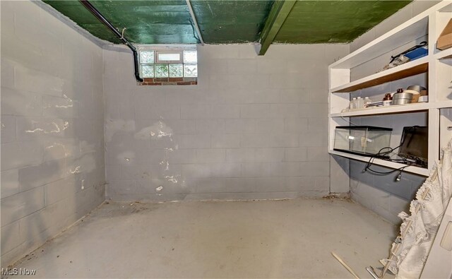 2335 Southway St SW, Massillon, OH 44646 - view of below grade area