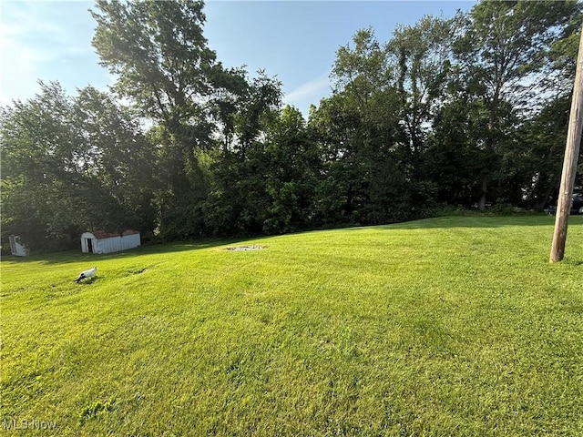 12115 Ellsworth St, Buffalo, OH 43722 - photo 9