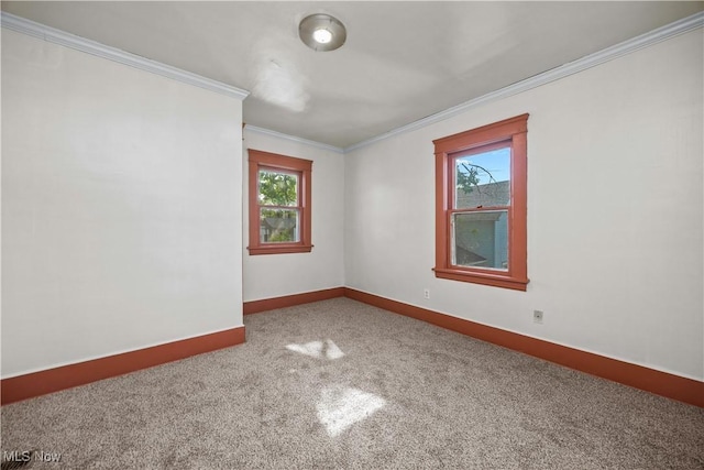 517 Hamilton Ave, Lorain, OH 44052 - photo 39