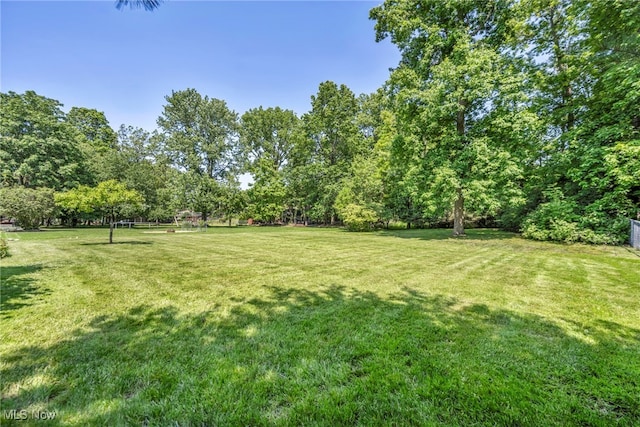 1019 Rose Blvd, Highland Heights, OH 44143 - photo 43
