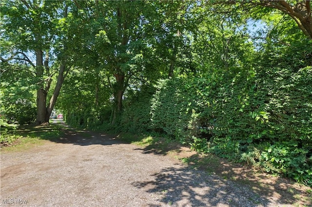 1293 W Jackson St, Painesville, OH 44077 - photo 16
