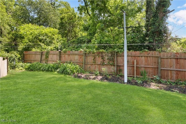 1293 W Jackson St, Painesville, OH 44077 - photo 20
