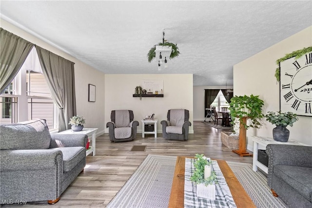 59301 Honeybee Rd, Senecaville, OH 43780 - living room featuring light wood-type flooring and a textured ceiling