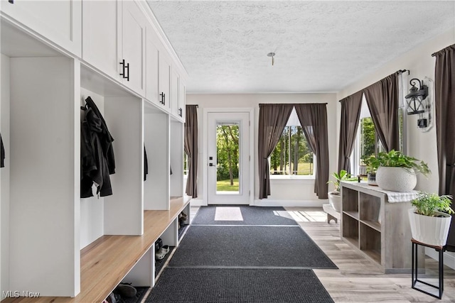 59301 Honeybee Rd, Senecaville, OH 43780 - mudroom featuring a textured ceiling and light wood-type flooring