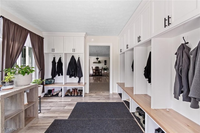 59301 Honeybee Rd, Senecaville, OH 43780 - mudroom with light wood-type flooring and a textured ceiling